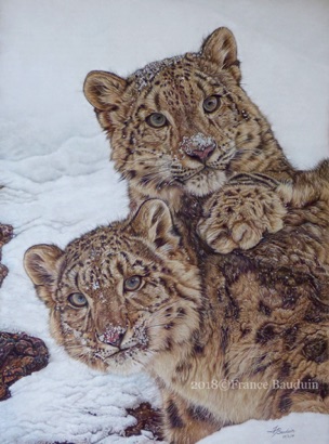 Snow pals - 104 hours
Brown Pastelmat Board
CP and PanPastels
24.5" x 18"
Golden Turtle finalist 2018